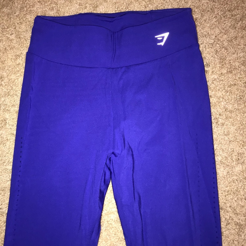 Royal blue gym shark leggings